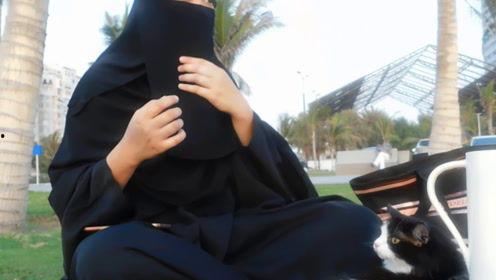 娱乐吃瓜君cp,揭秘娱乐圈CP背后的甜蜜与辛酸