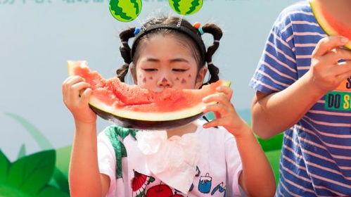 吃瓜娱乐封面简介图片,吃瓜群众视角下的明星生活