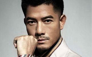 吃瓜放大镜娱乐圈,吃瓜放大镜下的光怪陆离